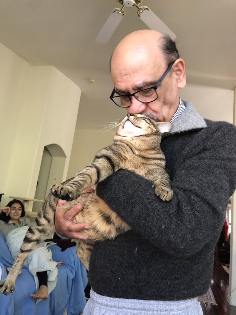 bashark_attack's tweet image. My dad: no we can never get a cat 

Also my dad: