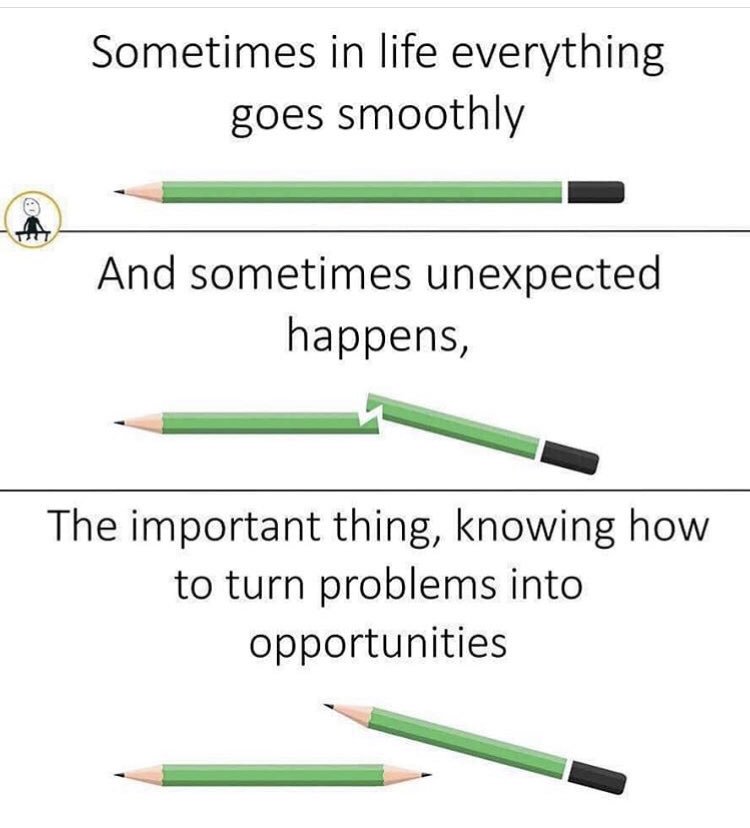 Audrey Young tweet media