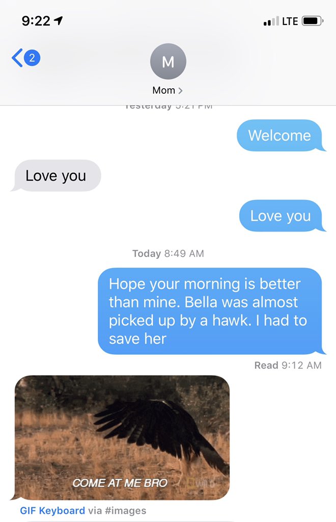 EFishler's tweet photo. My little Pomerania was almost picked up by a hawk this morning and this is how my mom responded... https://t.co/tbNCPXVkyW