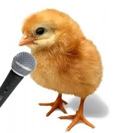 the_raven77's tweet image. -Qué le parecen los menús crispy chicken del Burguerkin?
-Pollo estoy en contra.