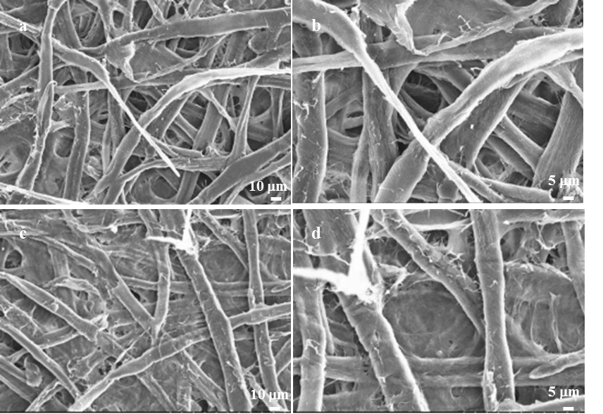 BioResJournal's tweet photo. The process variables and performance of #soybeanoil #rosin -based #polyester as an internal #sizingagent.
https://t.co/XguH3VsScq
#BioResJournal #papermaking #pulpandpaper #paperresearch https://t.co/VhgsPAN4cl