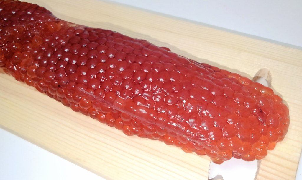 茸本 朗 たけもとあきら 野食ハンターの七転八倒日記 好評発売中 Twitterissa 借金 玉さんにレシピ教わって自作した塩筋子を食べたら 市販の筋子が全くのニセモノだってことと 醤油漬けがベストの食べ方ではないってことがはっきりわかった 鮮度のいいハラコが