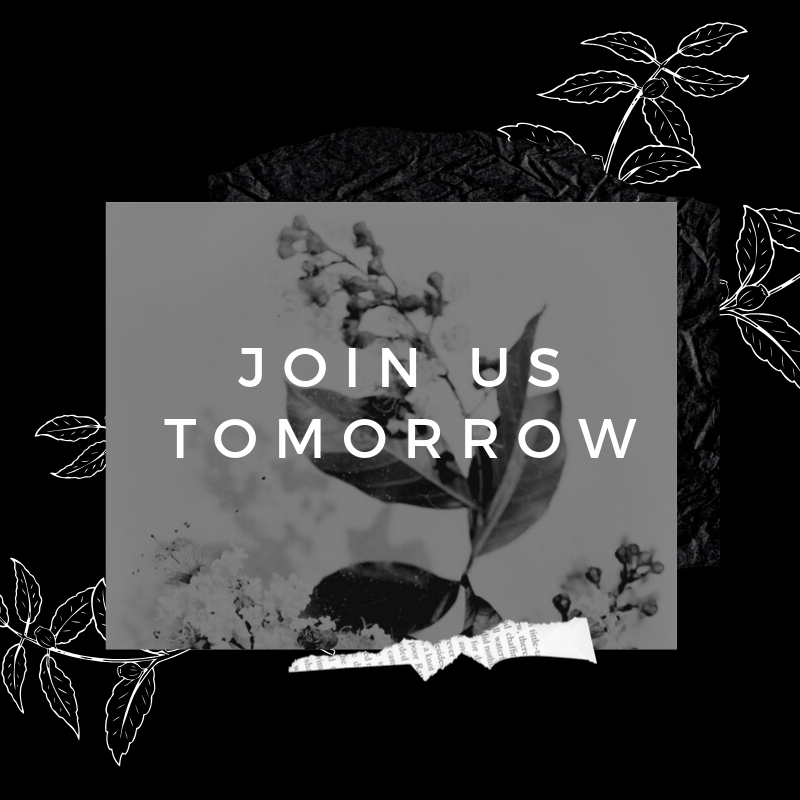 We would love to see you tomorrow! 9:01 &amp; 10:31 Gathering Times! Meet at 305 SE 22nd Street in Bentonville!