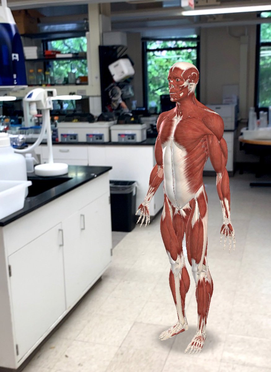 Neil Shubin tweet media