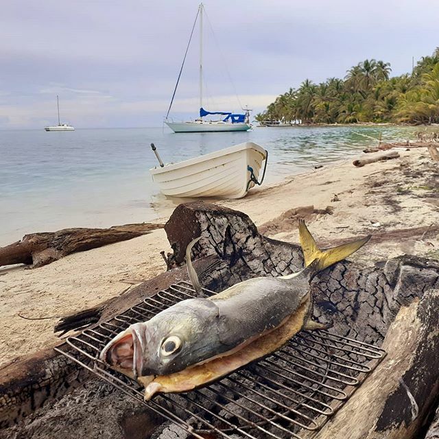 WinfliSailtrip's tweet photo. Pescado por la noche, almuercito fresco!

#winflisailtrip #sailtrip #navegar #caribe #quehaypahoy #panamatrip #viajar #travel #caribbeanhostels #freshfish #jackfish #jurel #pescarparacomer #joinus https://t.co/7BS3AuaGwq https://t.co/dc0YcoDdr6