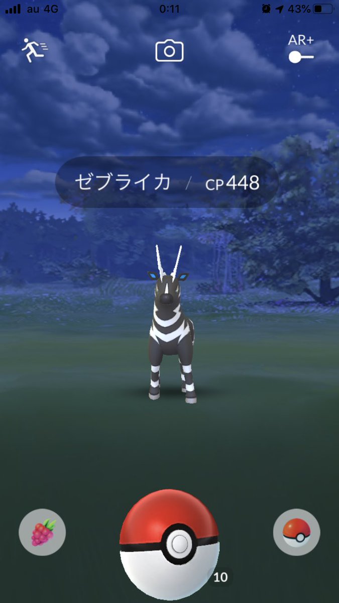 ゼブライカ ゼブライカ