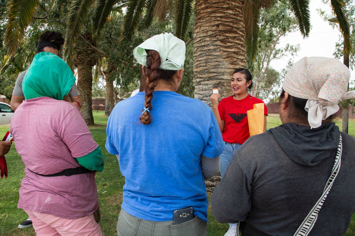 The Homecomers tweet media