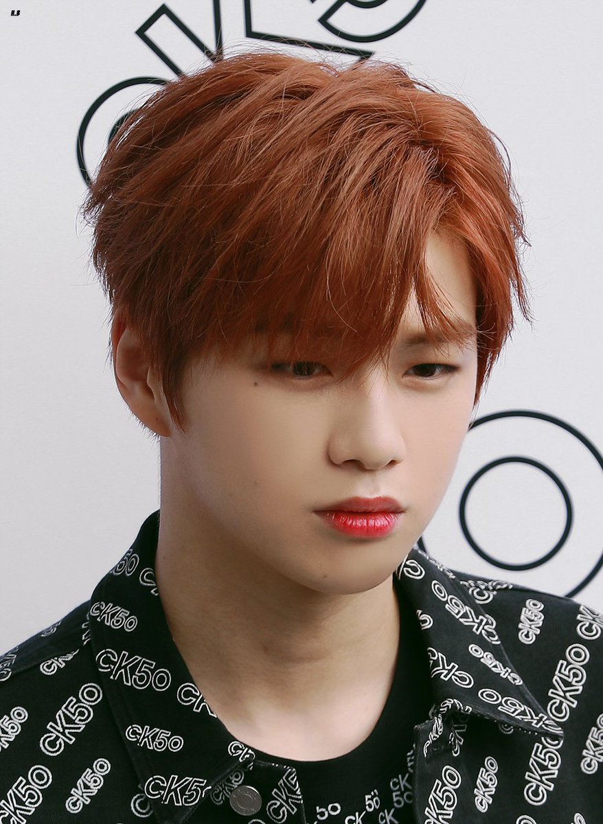 HolyBaby1210's tweet photo. 191005 캘빈클라인 50주년 포토월

#강다니엘 #Kangdaniel https://t.co/Wgt0TrZj71