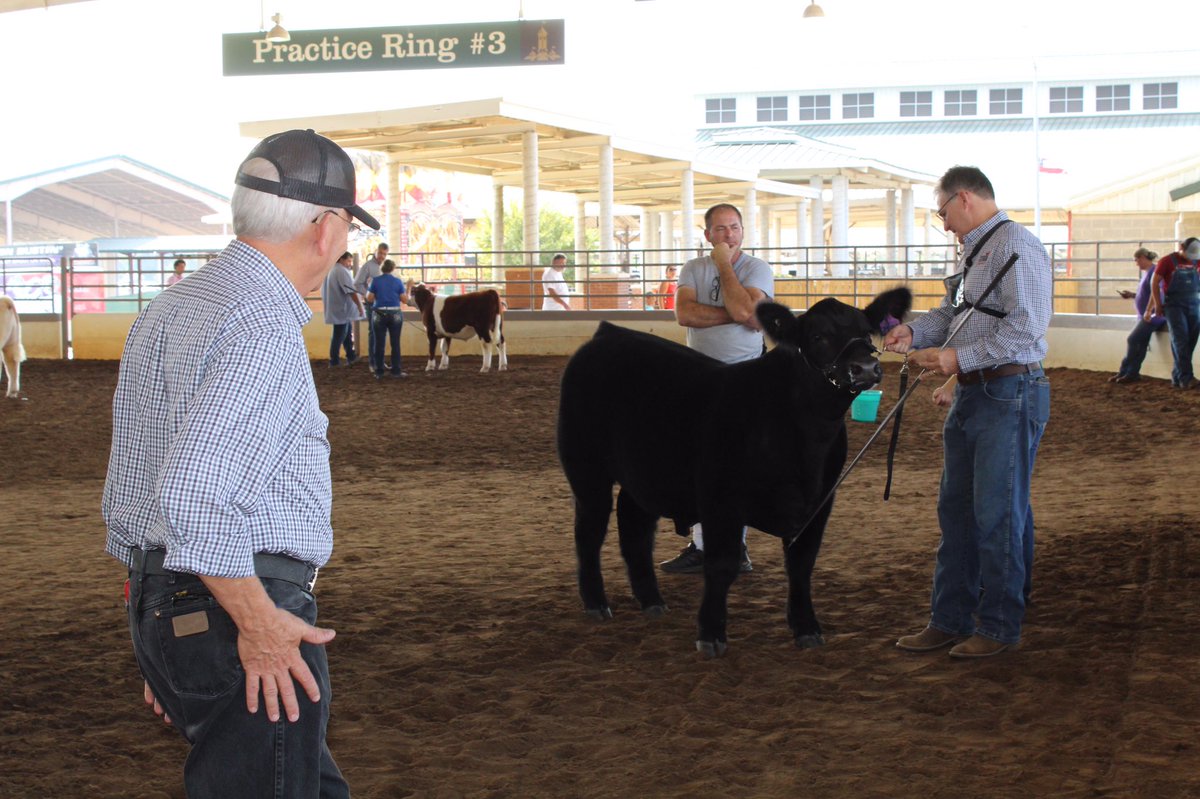 GaDeptAg's tweet photo. Practice makes perfect. The Annual Legislative Showdown is happening now in the Sutherland Arena at the Georgia National Fair! Hurry over! #GGattheFair #Ga4H #GaFFA https://t.co/7zo6wwN6ab