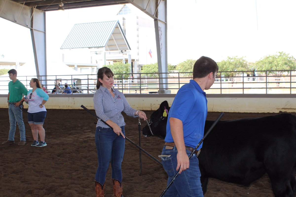 GaDeptAg's tweet photo. Practice makes perfect. The Annual Legislative Showdown is happening now in the Sutherland Arena at the Georgia National Fair! Hurry over! #GGattheFair #Ga4H #GaFFA https://t.co/7zo6wwN6ab