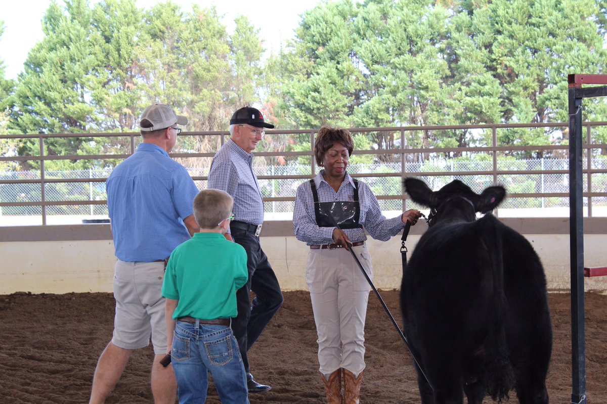GaDeptAg's tweet photo. Practice makes perfect. The Annual Legislative Showdown is happening now in the Sutherland Arena at the Georgia National Fair! Hurry over! #GGattheFair #Ga4H #GaFFA https://t.co/7zo6wwN6ab