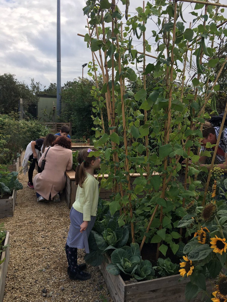 EdibleBristol's tweet photo. Great day with @SevernsideCRP @Avonmouth and guests for @Fun_Bristol today!! Great to open the Secret Garden and see the community connect in it!! https://t.co/M2gK57NQun