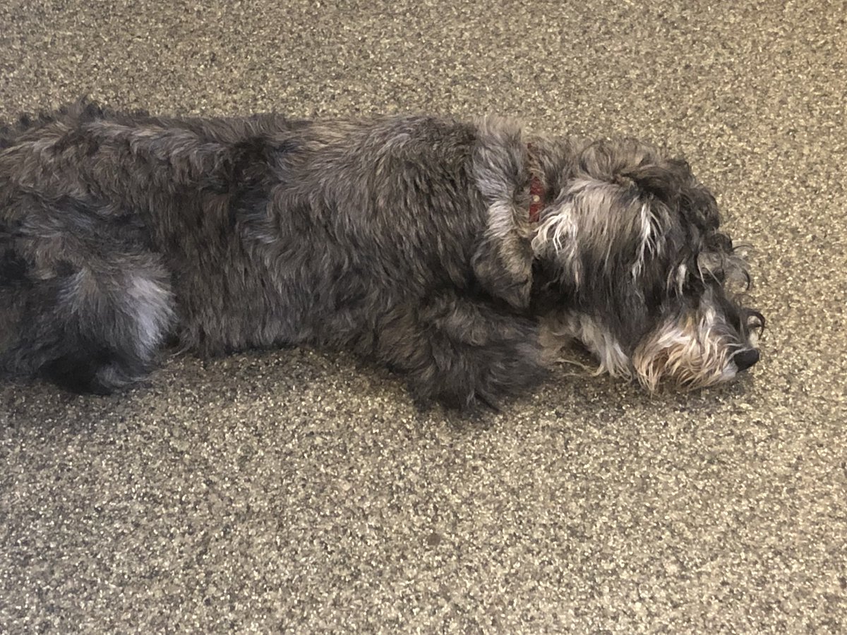 So my office assistant likes working from home but has total disregard for the job description