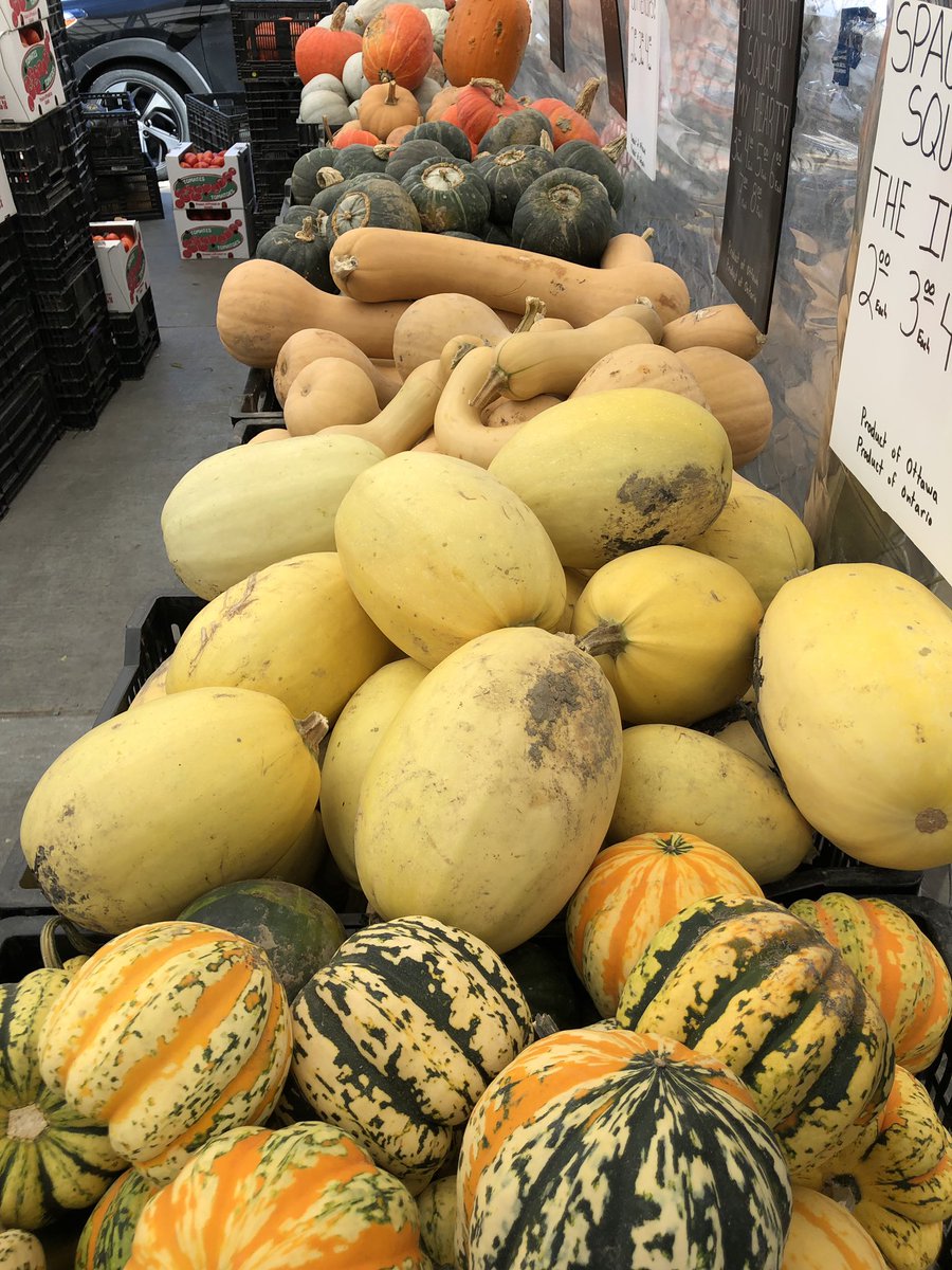 OttawaMarkets's tweet photo. Local #fruits are finished for the season but our #mums have arrived and it’s a riot of fall #veggies at your #PublicMarkets at #OurParkdale &amp; #OurByWard #MyOttawa ! https://t.co/BCnQBy1kuW