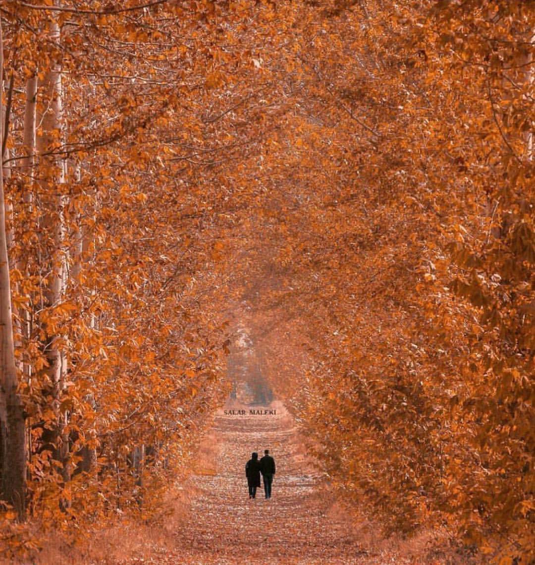Feeliran's tweet photo. چرخه‌ی توریسم به این صورته که دیده شدن تصاویر زیبای یک مقصد، باعث رویاپردازی سفر به اون مقصد و در نهایت انجام سفر میشه و دوباره همونایی که سفر کردن با محتوایی که تولید میکنن، باعث رویاپردازی عده‌ی دیگه‌ای میشن و این چرخه همینطور ادامه داره
#فم_تریپ #letsfeeliran
@feeliran https://t.co/7A3E6FJN6X
