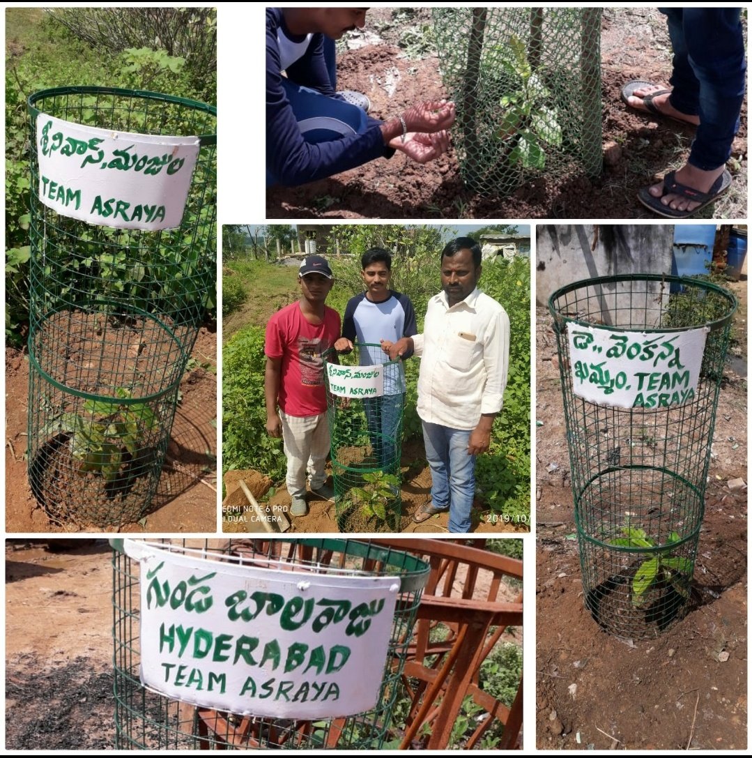 kedarnath_'s tweet photo. @KTRTRS sir, what's your opinion on our initiative? Team ASRAYA &amp; people of Lakshmapoor village together planted 89 trees with iron guards in the first phase &amp; labelled contributor's name. Getting ready for phase II.
#harithaHaram #nayiSoch
#teamAsraya #startImpactingLives https://t.co/qoD72RkFcj