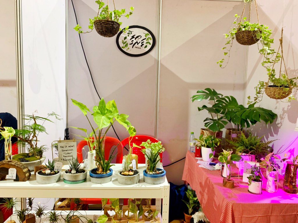 DarogaMv's tweet photo. Monstera plants, ferns, a variety of indoor plants perfect for desktops, air plant displays, mini gardens and grow lights for instant purchase at Daroga stall at Moms Expo 2019. 
#DarogaMv https://t.co/RVhuC1idJ0