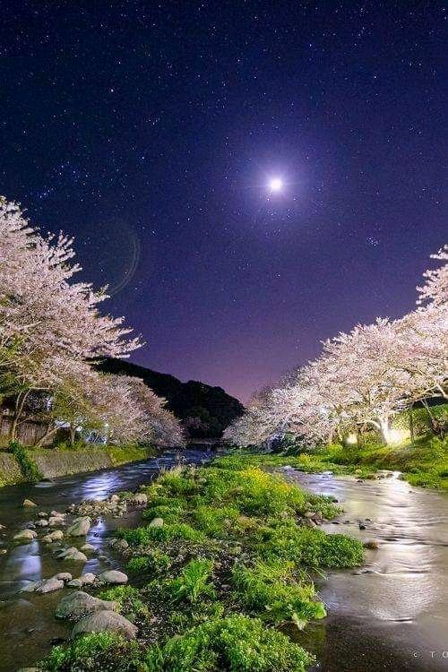 Charleta On Twitter O SearÄƒ De SambÄƒtÄƒ FrumoasÄƒ