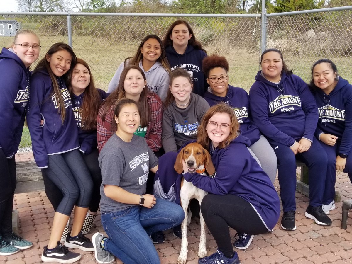 Mount_Bowling's tweet photo. Another successful year of volunteering at Adams County SPCA over Fall Break! 🐾 #MountUp #StormNation #FallBreak19 https://t.co/ol4cilE8fg
