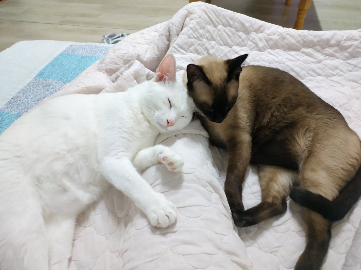 자유를 잃은 내 다리