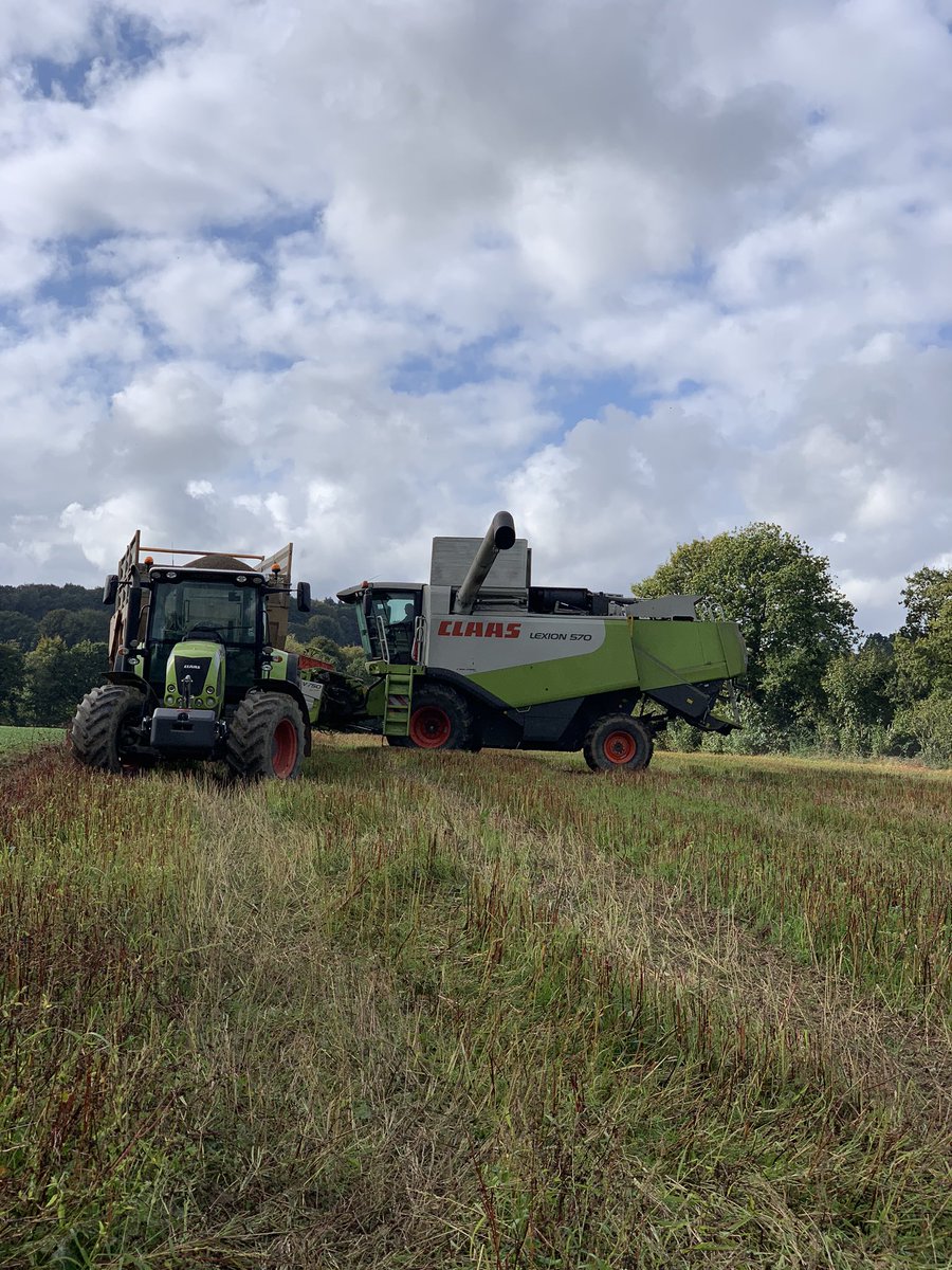 macflycjd's tweet photo. Battage de ma première récolte de blé noir Bretagne IGP sur 12 hectares 😍
@farineblenoirigp #sarrasin #blenoir #farine #agriculture #agriculteur #bretagne #bzh #toutcommenceenfinistere #finistere #penarbed #sansgluten #buckwheat #healthyfood #healthy #crepes #galettebretonne https://t.co/GplhOBwTDu