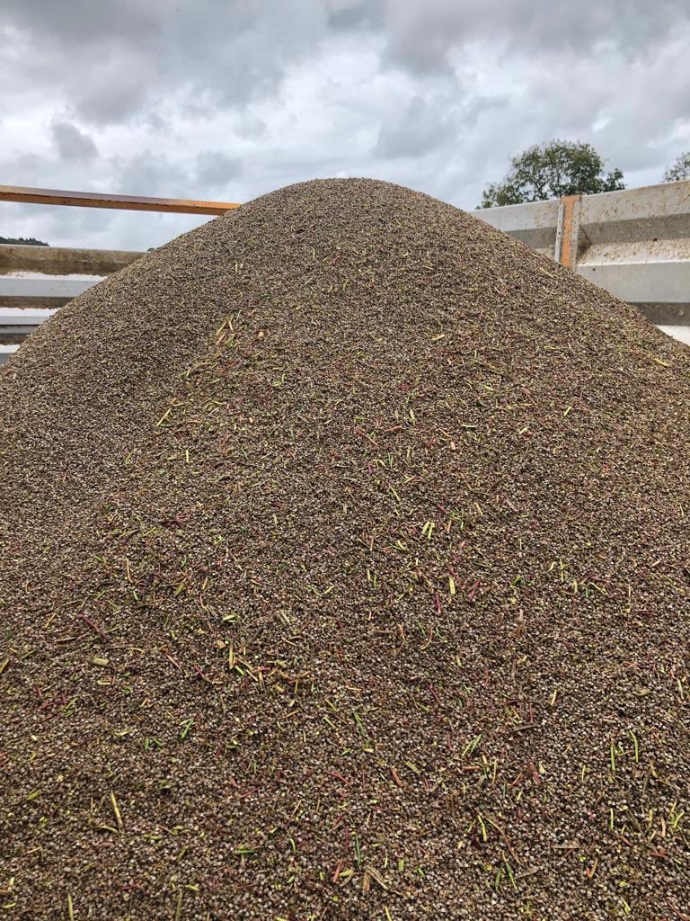 macflycjd's tweet photo. Battage de ma première récolte de blé noir Bretagne IGP sur 12 hectares 😍
@farineblenoirigp #sarrasin #blenoir #farine #agriculture #agriculteur #bretagne #bzh #toutcommenceenfinistere #finistere #penarbed #sansgluten #buckwheat #healthyfood #healthy #crepes #galettebretonne https://t.co/GplhOBwTDu