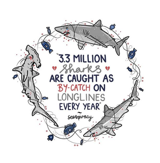 letfishlive's tweet photo. Fishing makes the #oceans a deathtrap for all those who live there.  To protect non-human #animals, we must abolish fishing. (via @jessicajaneillustrations) #animalrights https://t.co/PjVNhEwkdn