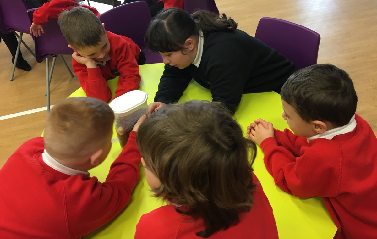 AmandaHunter75's tweet photo. The Woodmuir Primary School children have been very busy creating blood as part of their biological systems topic. What a fantastic way to learn how important it is! @WoodmuirP @WL_STEM https://t.co/NcPkTiFfX7
