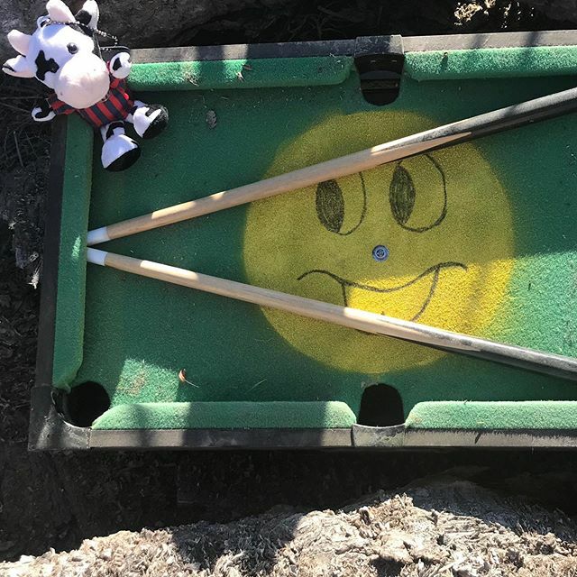 Hanging out in the corner pocket of this puzzle cache. #geocaching #geocachingadventures ift.tt/2OxsYsb