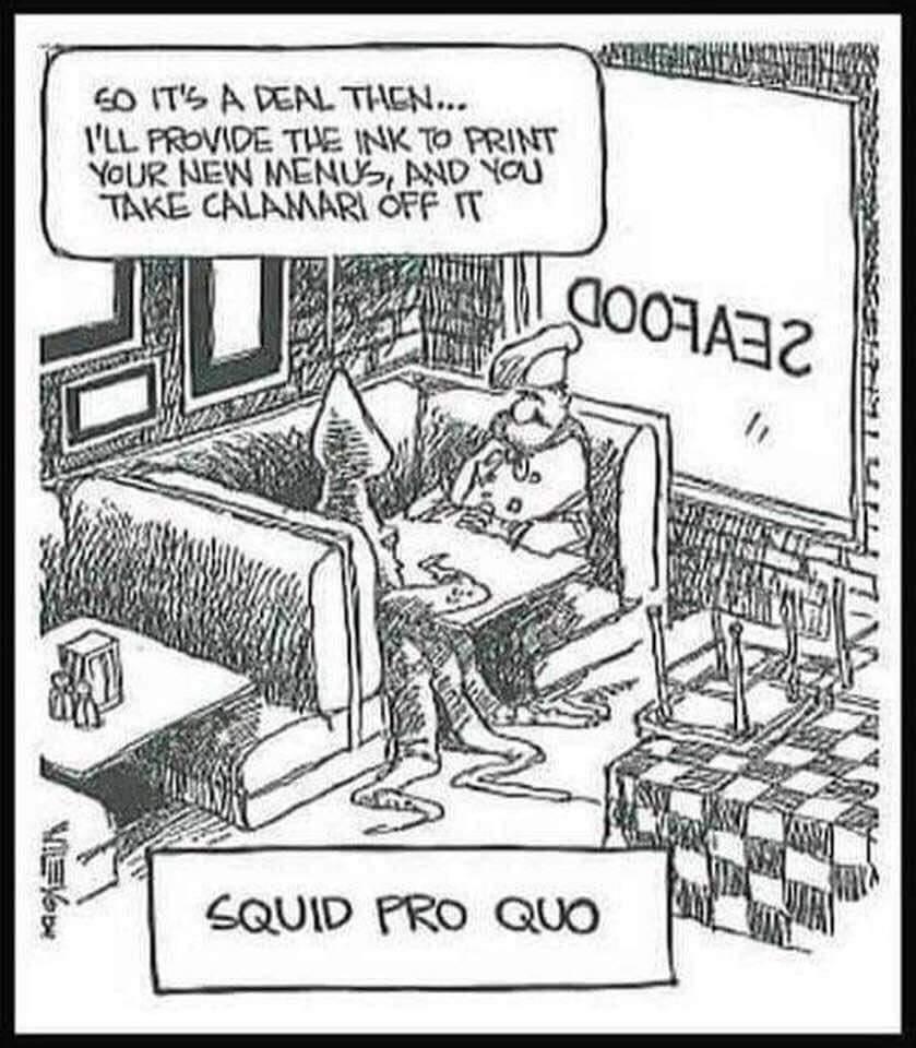 Image result for calamari squid pro quo