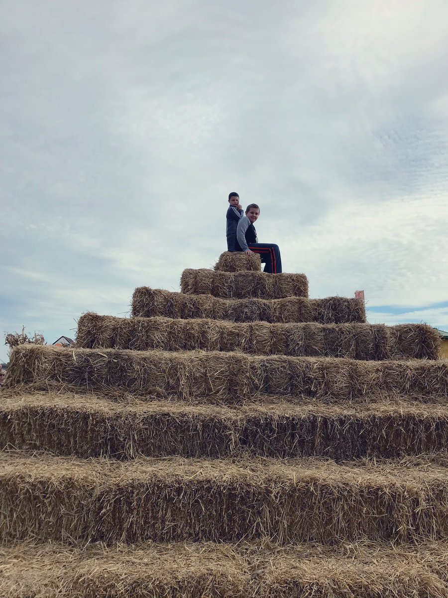 Erickascarfino3's tweet photo. @ThiesFarm ENJOYING THE DAY WITH BRITT🎃ALEXANDER🎃CARTER 🎃ARRON🎃 #October2019 #october #life #SaturdayVibes #familyfun #familyiseverything #family https://t.co/0ag9Tz75Ey