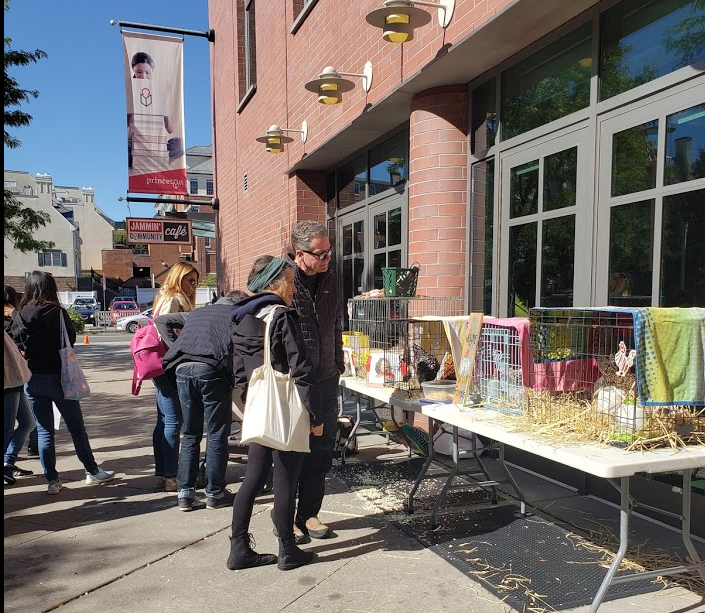 PrincetonPL's tweet image. Chickens came home to roost at the library this morning as we held an informational session on how to raise chickens in your backyard. Everyone loved meeting the chickens on the plaza and also learning about therapy chickens... #programminglibrarian