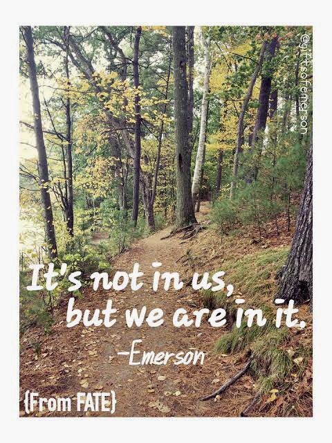 rameshpandeyifs's tweet photo. And itβs so simple....Nature can survive without us but we canβt survive without nature. So every single blade of grass matters. Every drop of water is precious. #SaveUs is the right call and not the #savenature or #savenaturenow. β¦@RandeepHoodaβ© β¦ https://t.co/Zx7rJK1DJW