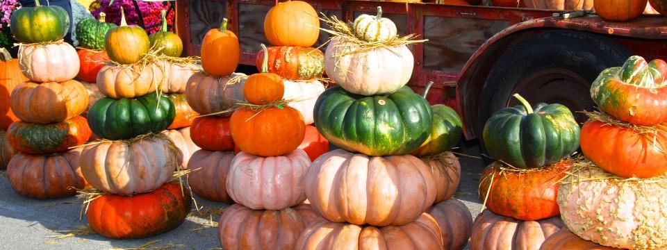 Stop by the farmers market for some local goods this weekend! franklinfarmersmarket.com