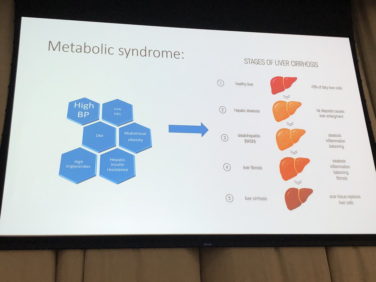 braun_lynne's tweet photo. Metabolic syndrome and NAFLD can go hand in hand @avolgman @cardio10s #RushLipidProgram https://t.co/w4DqmDjLMe