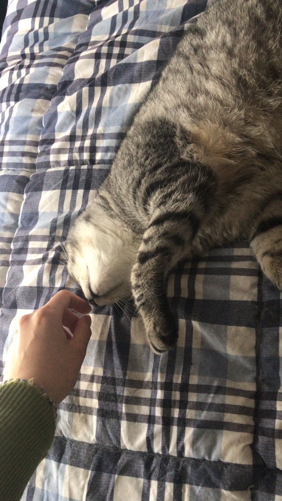 phoebeannecat's tweet photo. https://t.co/itZVqZOetP