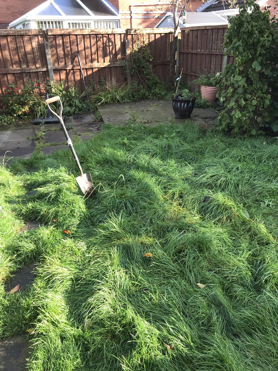 info_lpm's tweet photo. Before pictures of our recent job in Lowton.paved in autum multi sandstone with a cobbled edge, complimented with 35mm artificial grass #lpm #sgs https://t.co/PiH21VdYer