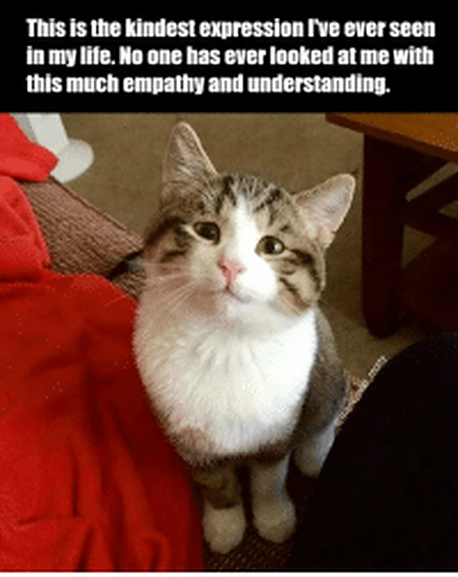 Part of communicating empathetically is seeing things from another ...