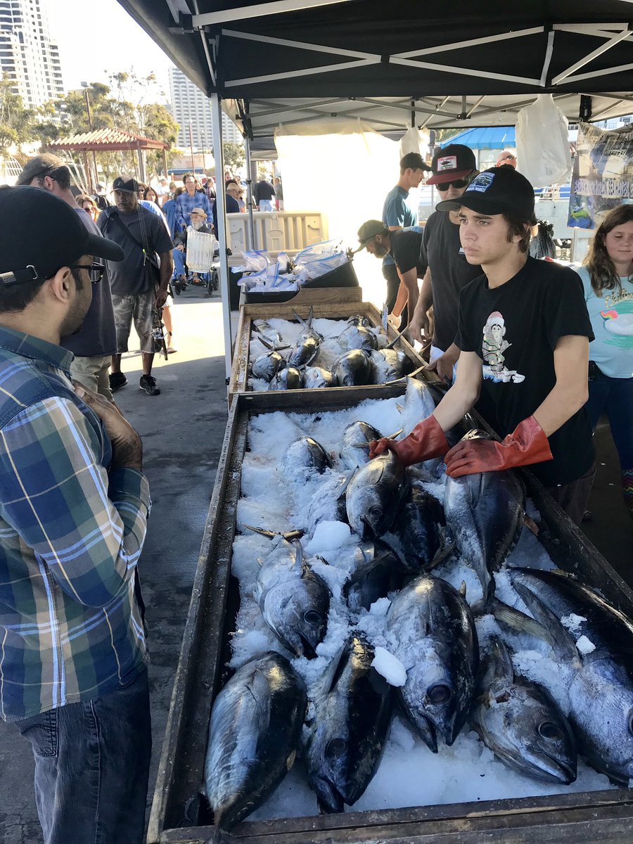 SenToniAtkins's tweet photo. Happy Tuna Harbor Dockside Market Day! Celebrating 5 years of our local, sustainable (dare I say soFISHticated) open-air fish market in the Port of San Diego! I’m proud my 2015 #PacifictoPlate bill helped support this tradition and the fishing crews that make it a “reel” success. https://t.co/DdoXCzbbZO