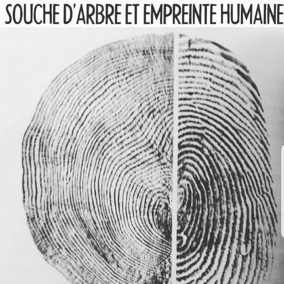 paysarbre_org's tweet image. Encore une fois nous mettrons l’arbre au cœur de l’événement,
tel un totem vivant convoquant sa communauté.
La thématique de cette année est : Des peuples et des arbres”
Pour en savoir plus : paysarbre.org/la-petite-fete…
👉#PetiteFêteDeLArbre5 #PetiteFête2020 #Lodeve #Occitanie 🌳