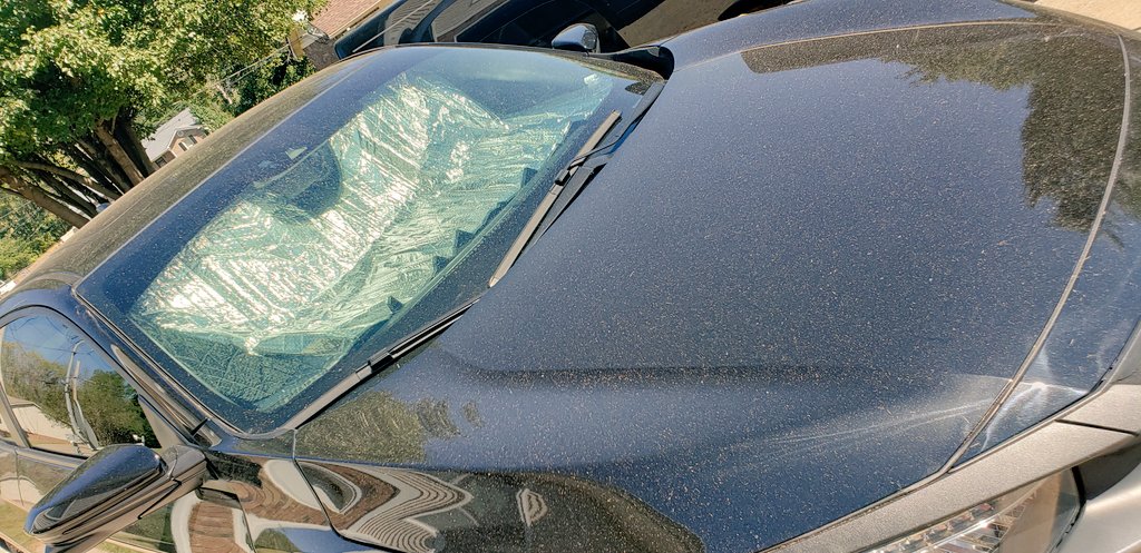 Lady_Arsenic_'s tweet photo. When everyone on my block cuts there grass today... #BlackCarProblems https://t.co/CGM0dhbPoU