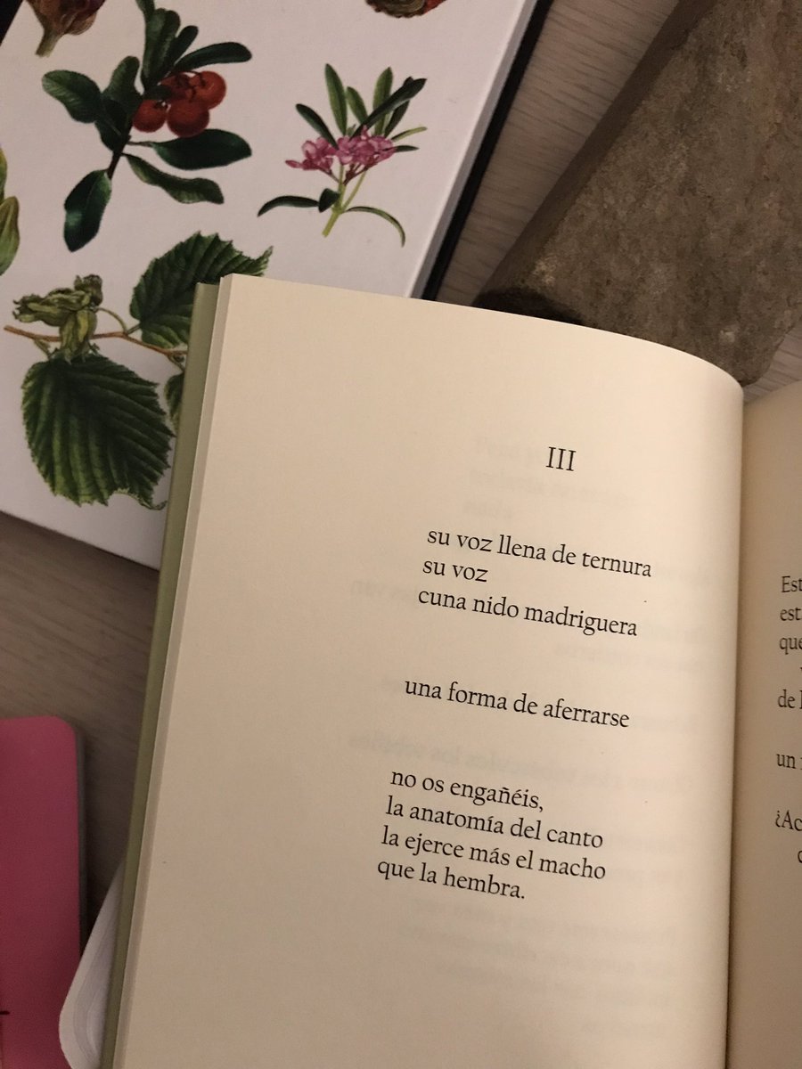 MariaMercromina's tweet photo. hoy, día de las aves pienso mucho en este poema de cuaderno de campo inútil hoy porque salió hace poco la noticia de que el canto de las hembras había sido ignorado siempre en los estudios científicos https://t.co/kl4Q1Mq8y6 https://t.co/WxMuFyP80O