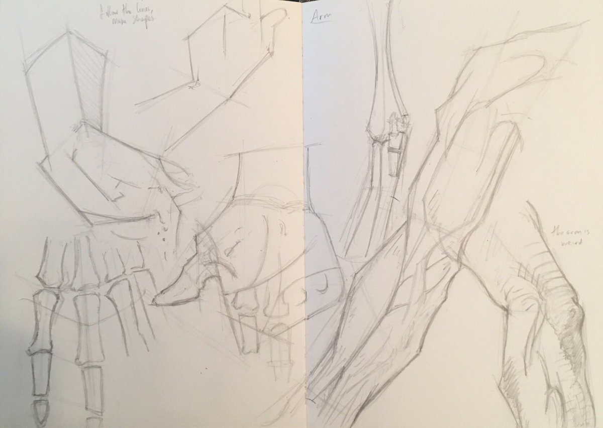stopmotion_tom's tweet photo. Day 4 and 5 of learning anatomy ✍️ #inktober #drawing #sketch https://t.co/kfLtB3pflX