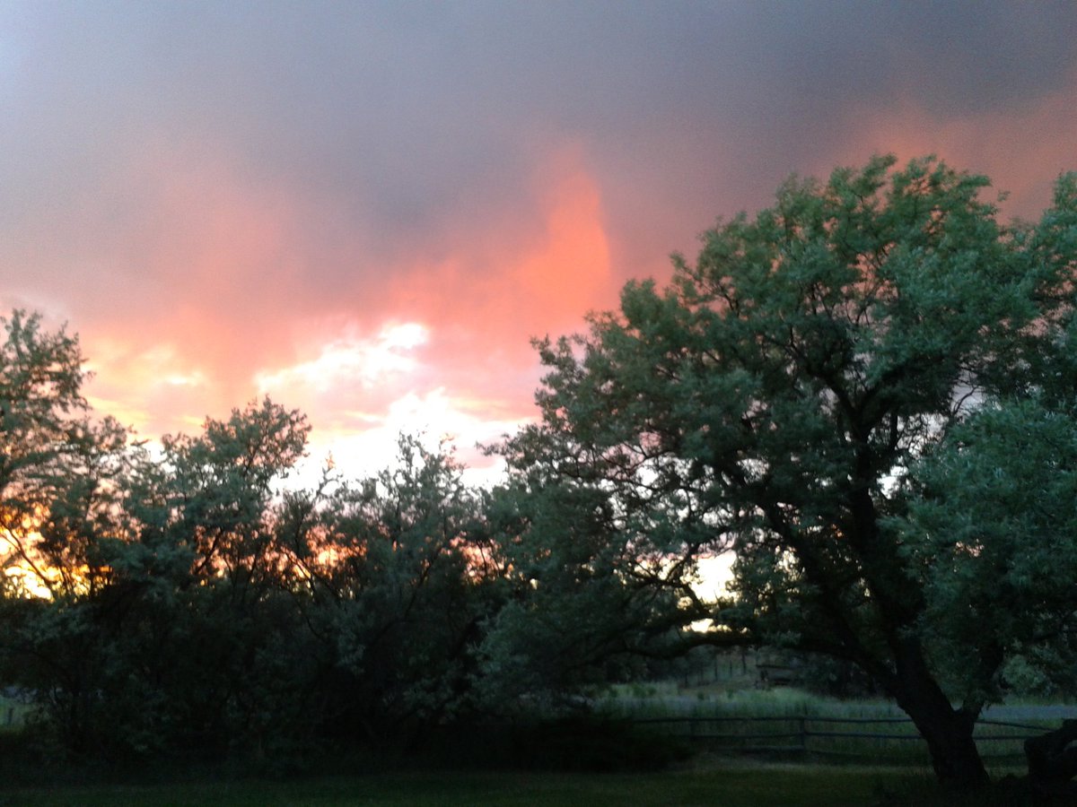 Horsemom96's tweet image. In all things of nature, there is something of the marvelous.  - Aristole #amwriting #writing #writerslife