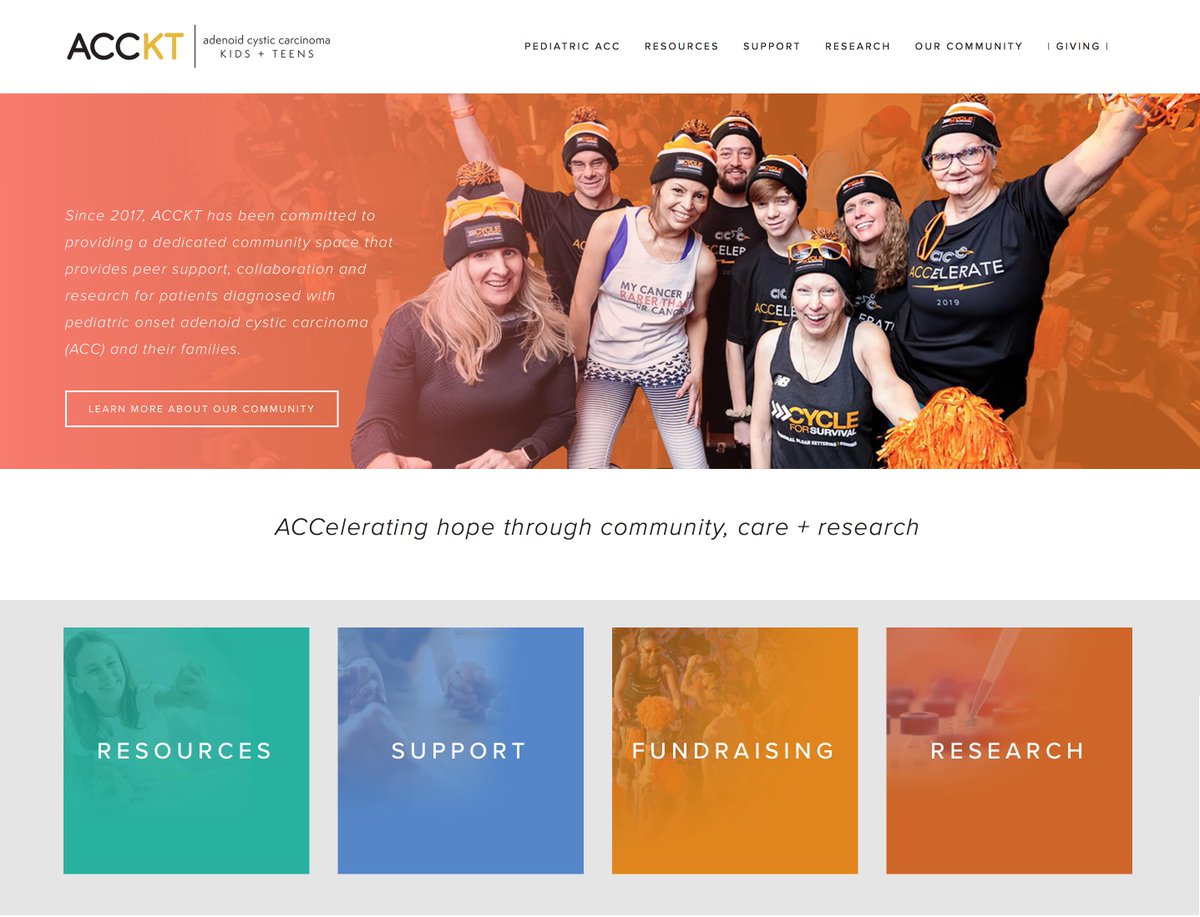 amyhellerdesign's tweet photo. Check out the updated ACCKT website. Filled with new content spec. for the parents of and patients originally dx w ACC between age 0-20. Resources, fundraising, research +more!  https://t.co/qAw8ESqhAU 

#adenoidcysticcarcinoma #ChildhoodCancer  #rarecancer #findacure https://t.co/DUlw7hYQG8