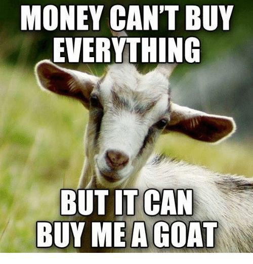 LPHS_Key_Club's tweet photo. Key Club ran a "Floats 4 a Goat" fundraiser at First Congregational Church's Fall Fest today and were successful in meeting our goal of raising half the funds for a goat for a family in need through @Heifer Intl. Thank you to Charles &amp; Michelle Brady for this opportunity!! https://t.co/rS35mHcDak