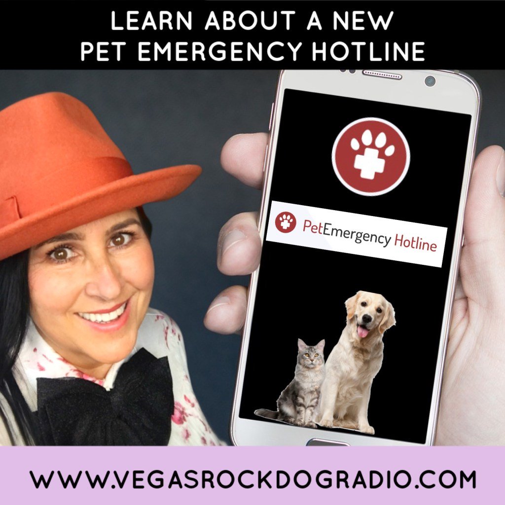 New Emergency Pet Hotline therocknrolldog.com/new-emergency-…