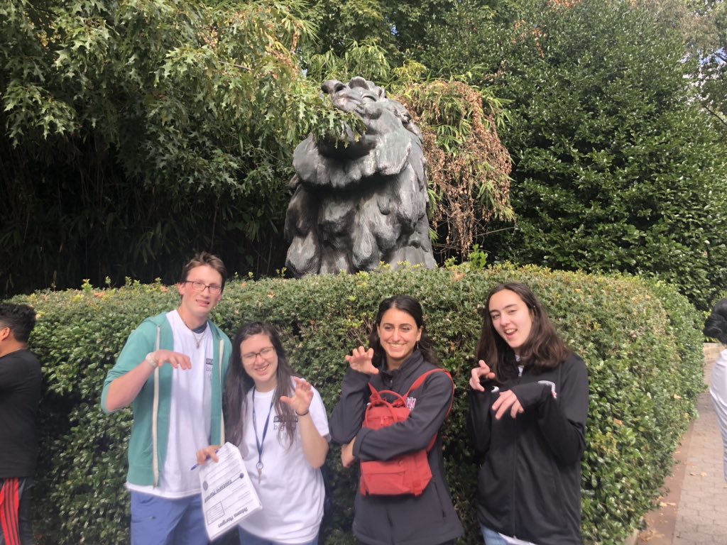 GeorgetownBig's tweet photo. #lionroar @bighuntGU #georgetownbig https://t.co/WvyPstD37i