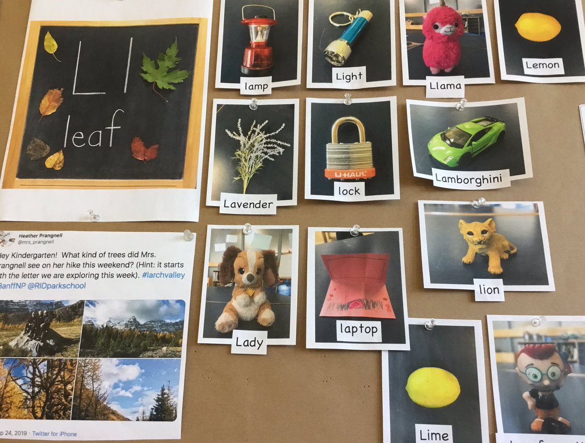 RIDparkschool's tweet photo. Albert Einstein said it best...’Play is the highest form of research’ go Kinders @mrs_prangnell #WeAreRideau #WeAreCBE https://t.co/IOWtIscdbf