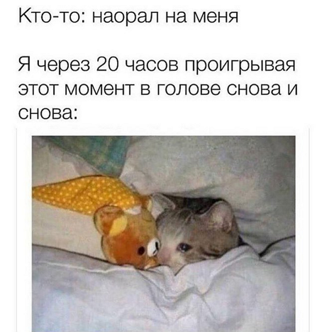 so_mad_so_funny's tweet photo. https://t.co/pHWV3wqMqM